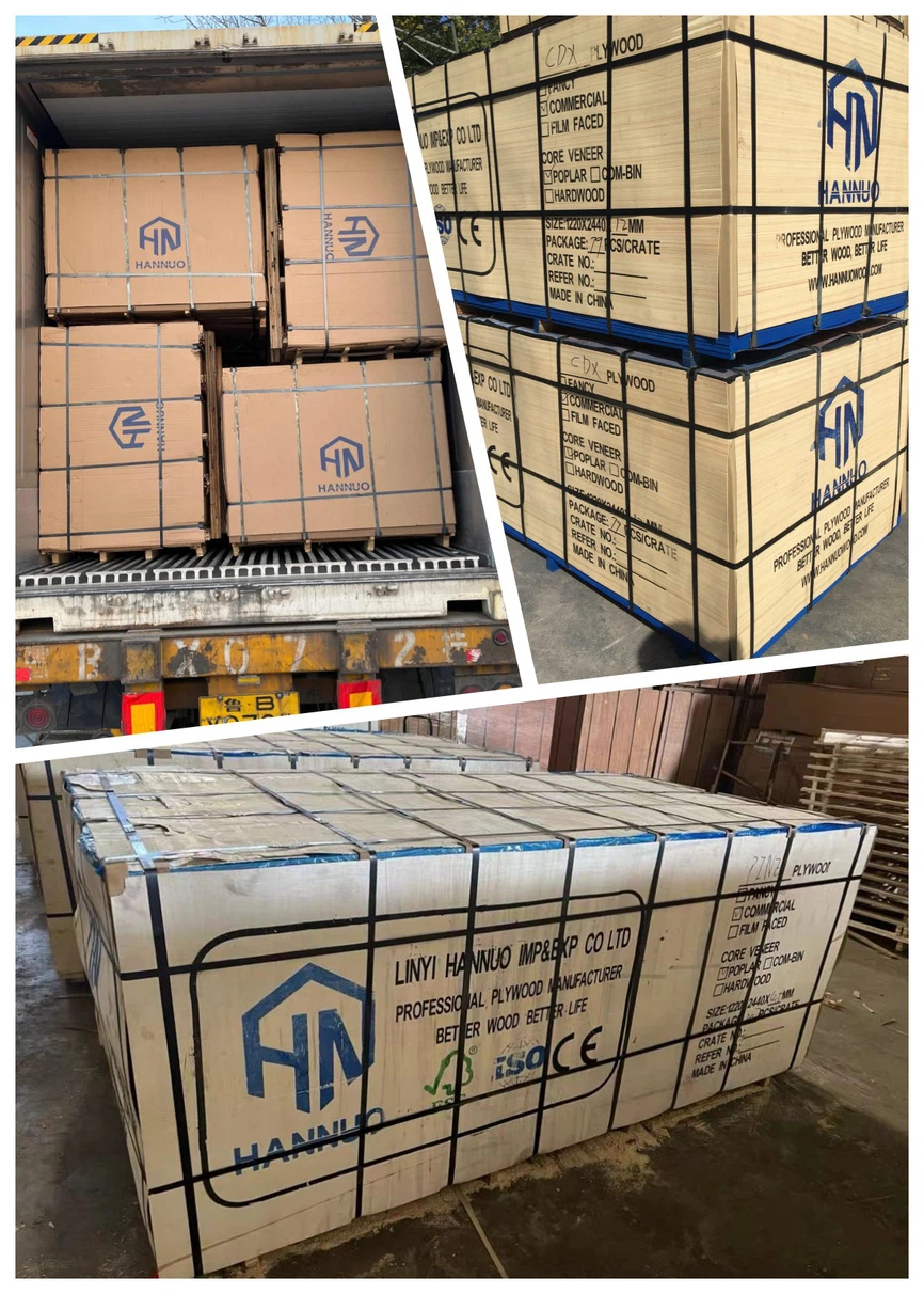 product-1200-1680 product-1200-1680