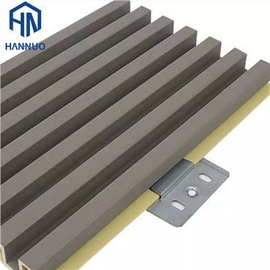 WPC Wall Panel Wood Plastic in Door